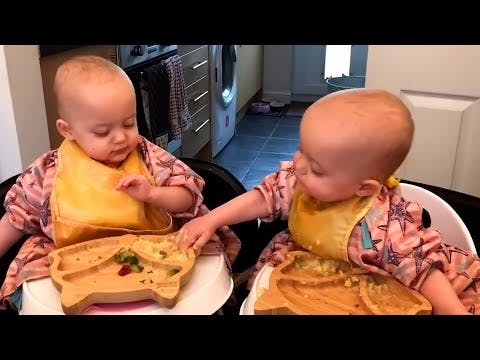 Funniest Battles of Twin Babies! Funny Baby Videos.